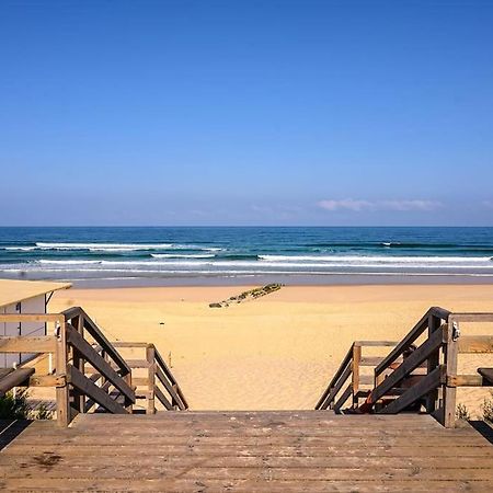 La Cabane Maddyblue 5 Min A Pieds De L'Ocean Et Commerce Mimizan Exterior foto